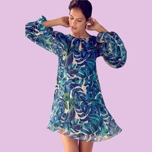 Anthropologie Chloe Oliver Parterre Swing Dress Size Small